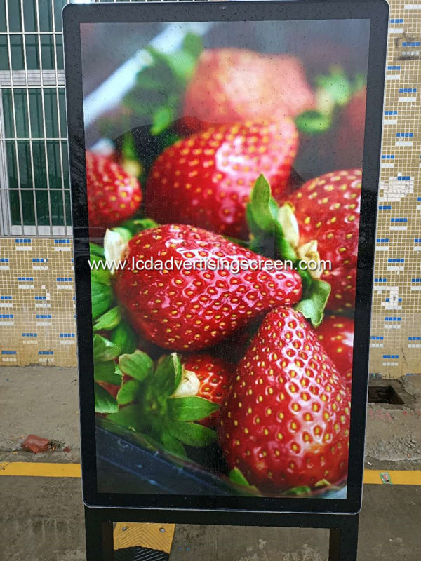 Floor Standing Split Screen Digital Advertising Kiosk